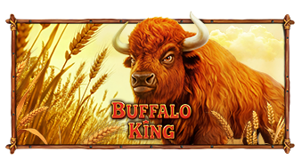 Play Buffalo King online - Slots - Black Dragon Lab