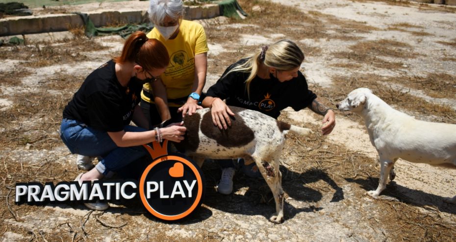 PRAGMATIC PLAY DONATED €2,000 TO THE CAT SANCTUARY