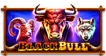 bullsbet hacker