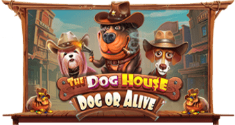 Play The Dog House – Dog or Alive online - Slots - Black Dragon Lab