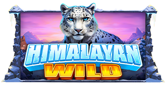 Play Himalayan Wild online - Slots - Black Dragon Lab