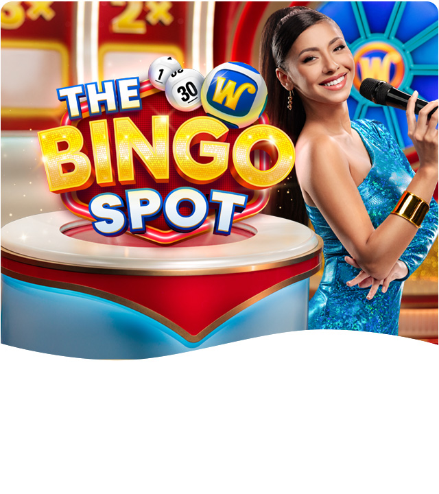 The Bingo Spot